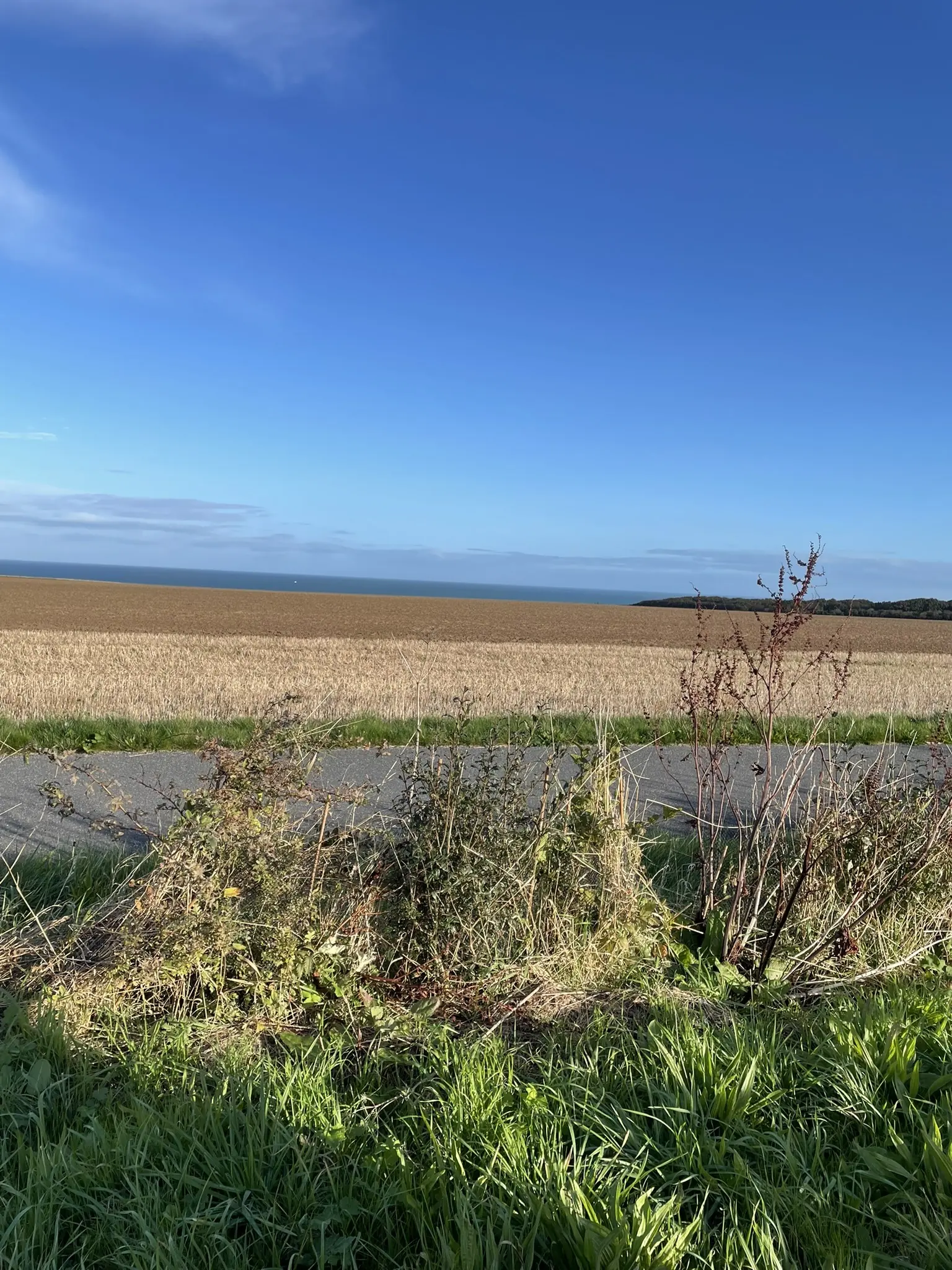 La piste cyclable entre le Bois de Cise et Ault, entre champs et mer