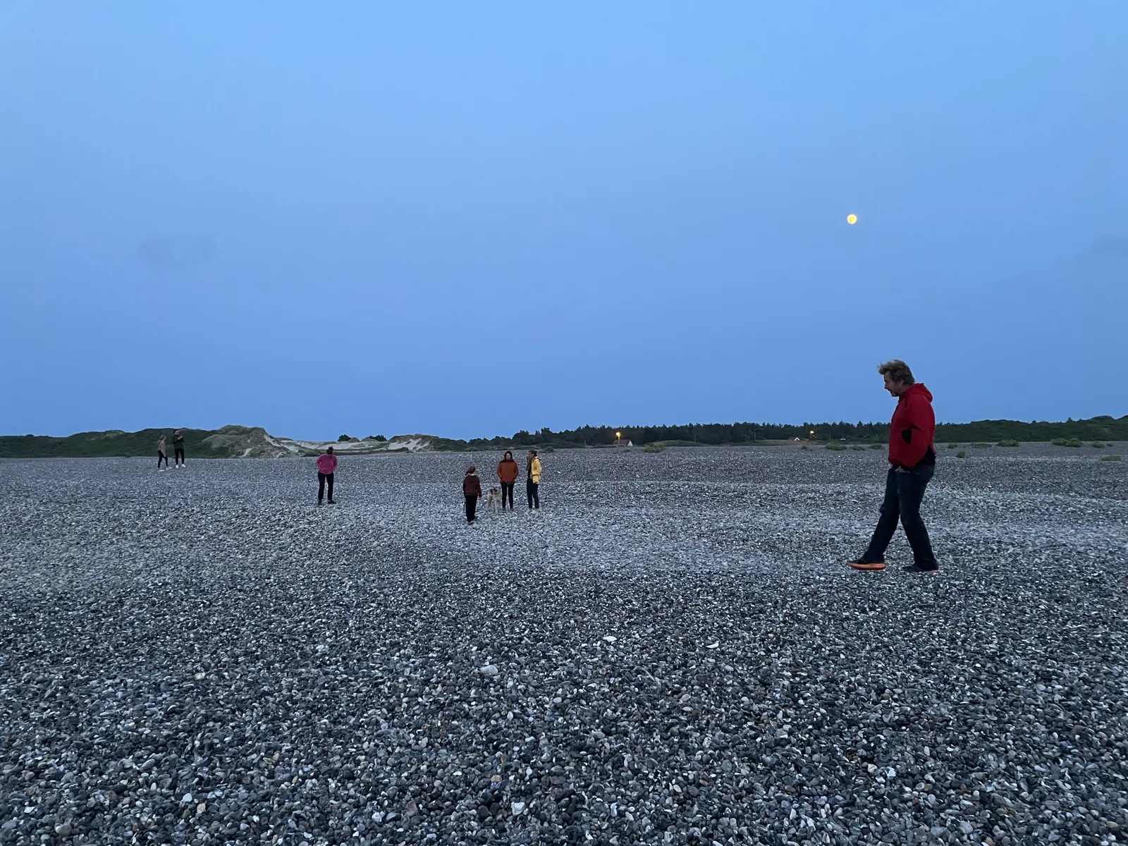 Promeneurs sur la plage de galets au nord de Cayeux, en fin de journée